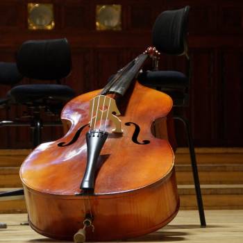 Double Bass Lessons Blue Mountains